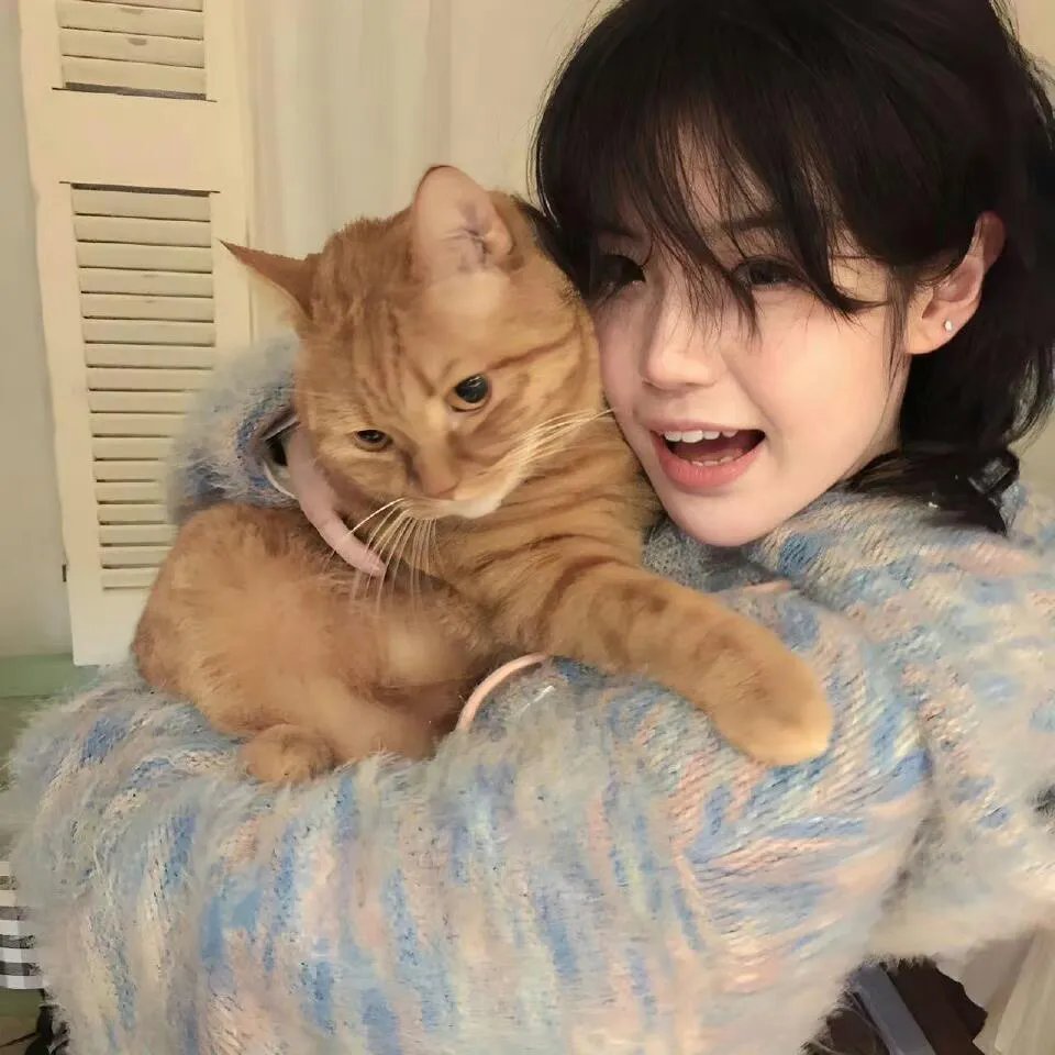 马男波杰克第三季